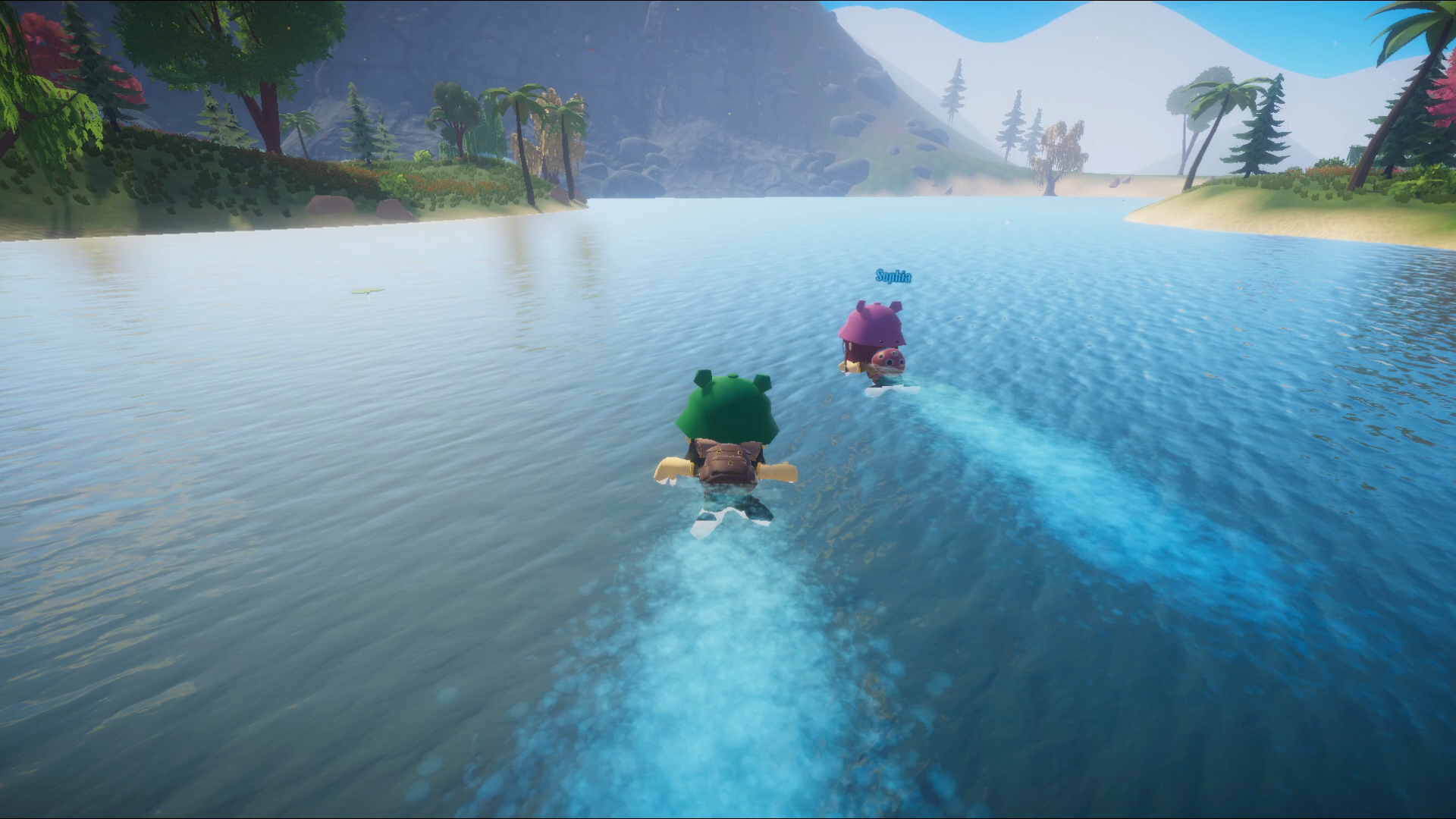 Screenshot 13
